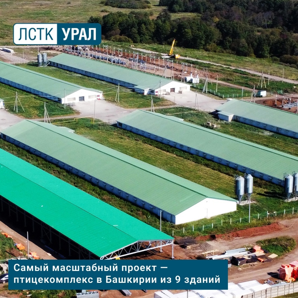Птичник.jpg